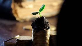 Medium money bank deposit grow up income dividends coins