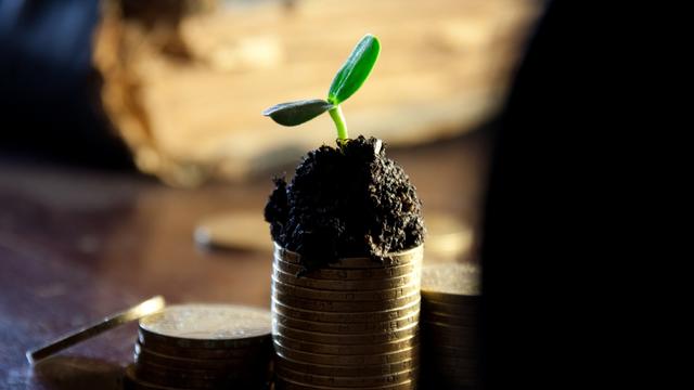 Big money bank deposit grow up income dividends coins