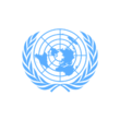 Junior Professional Officer (gn) in Human Resources Management